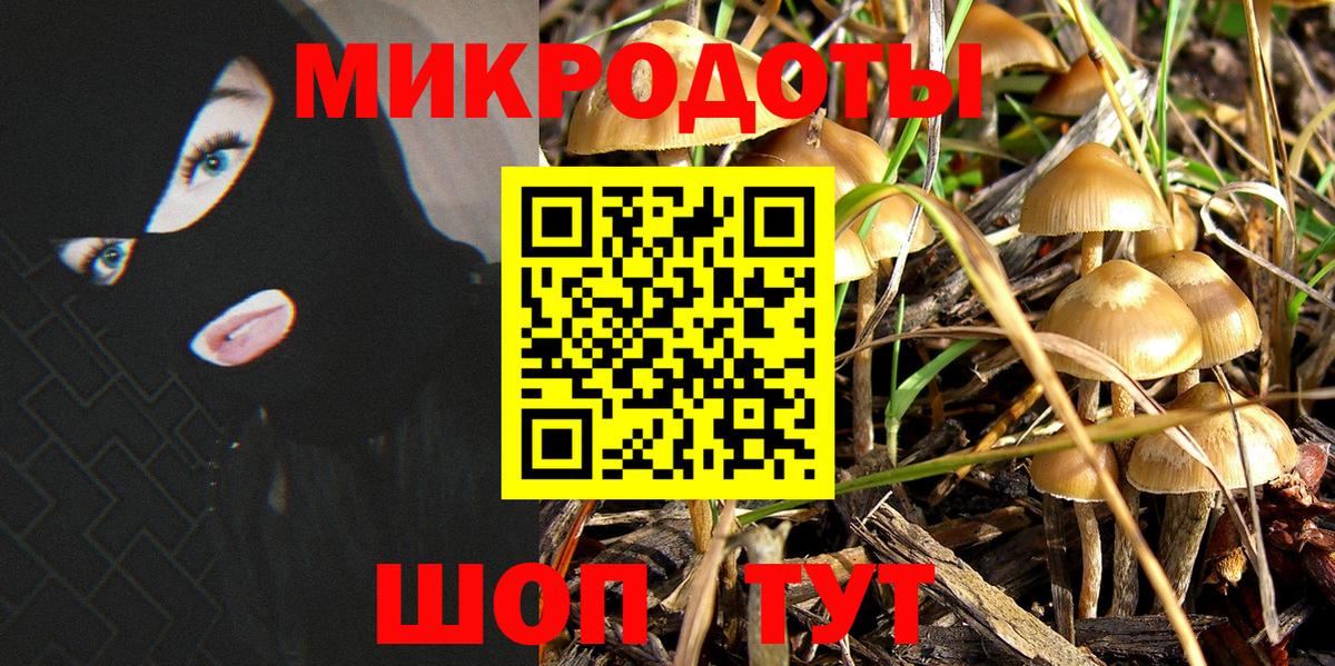 Псилоцибиновые грибы прущие грибы Югорск